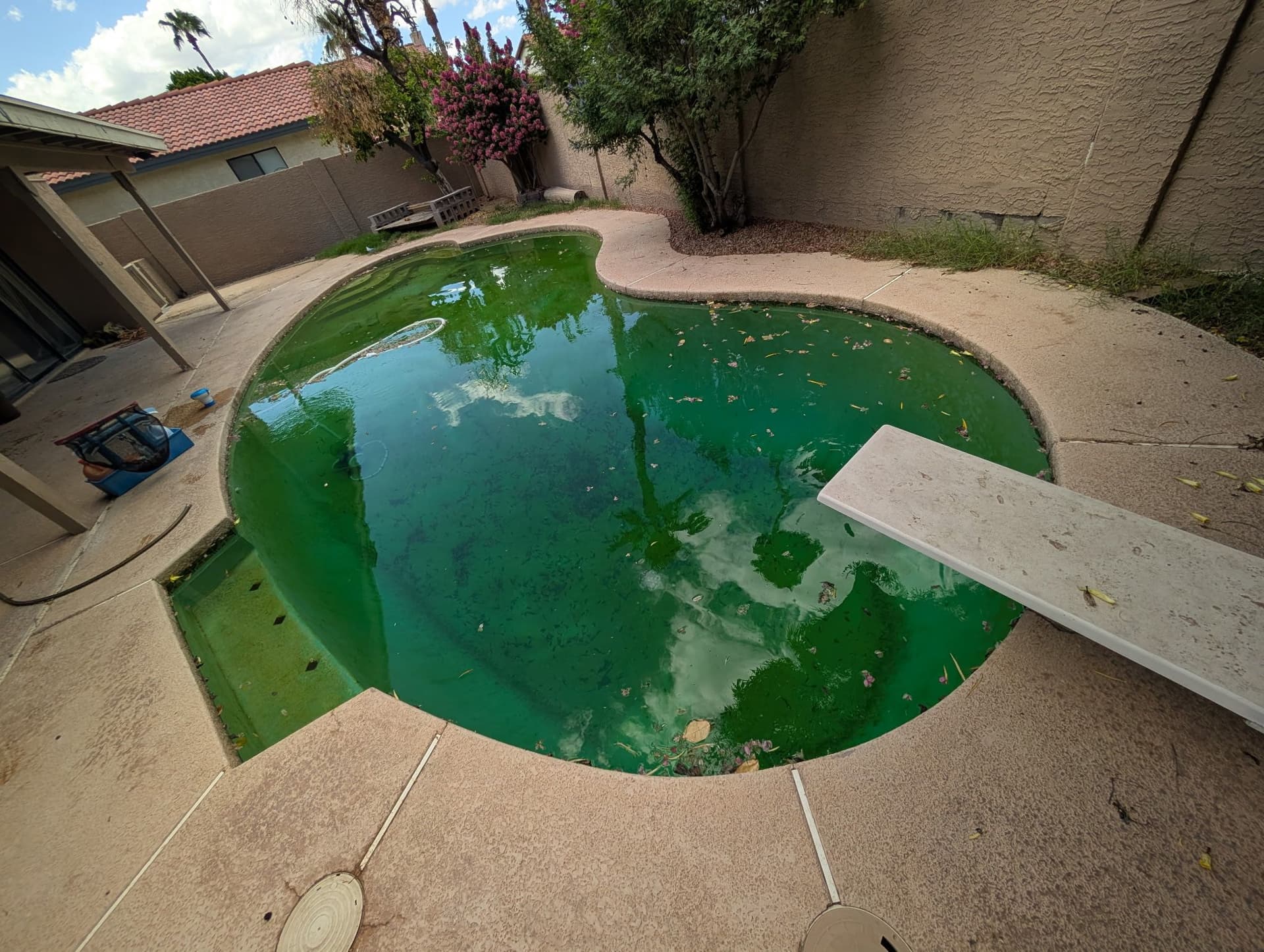 From Green Pool to Oasis - Tempe Transformation image