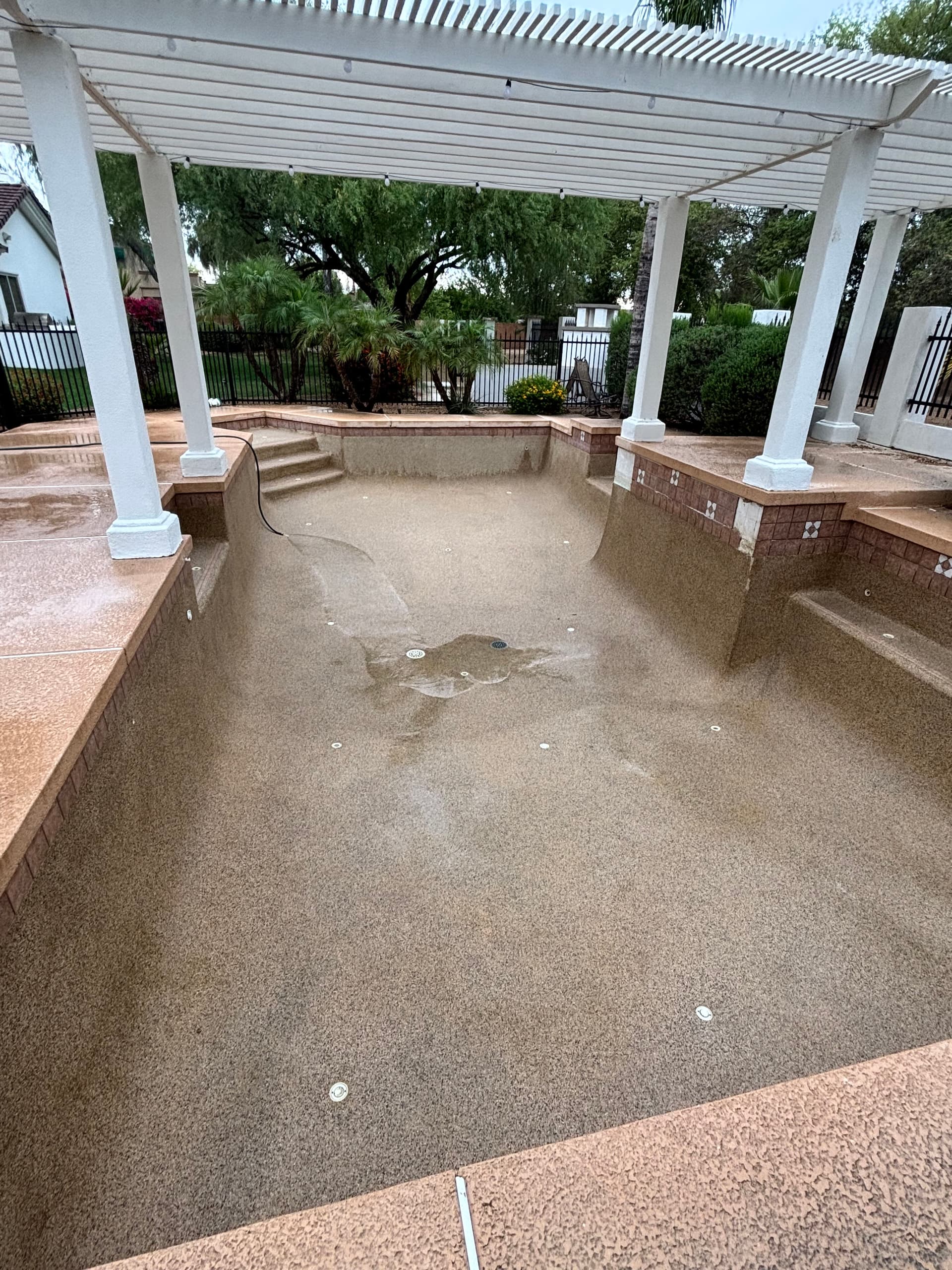 Gallery photos for Full Muck Out and Chlorine Wash on a Chandler Pool: Image #2