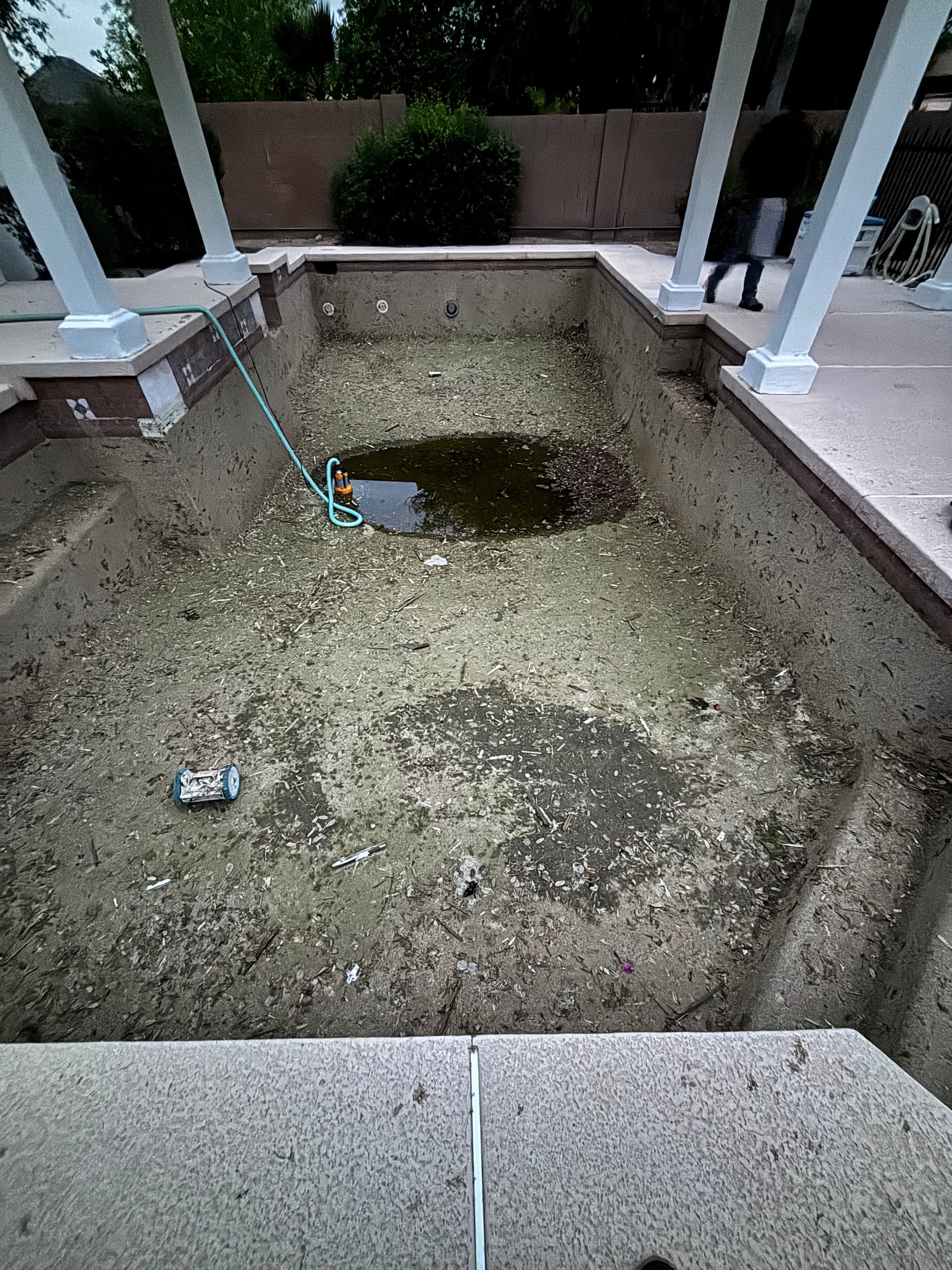 Full Muck Out and Chlorine Wash on a Chandler Pool image