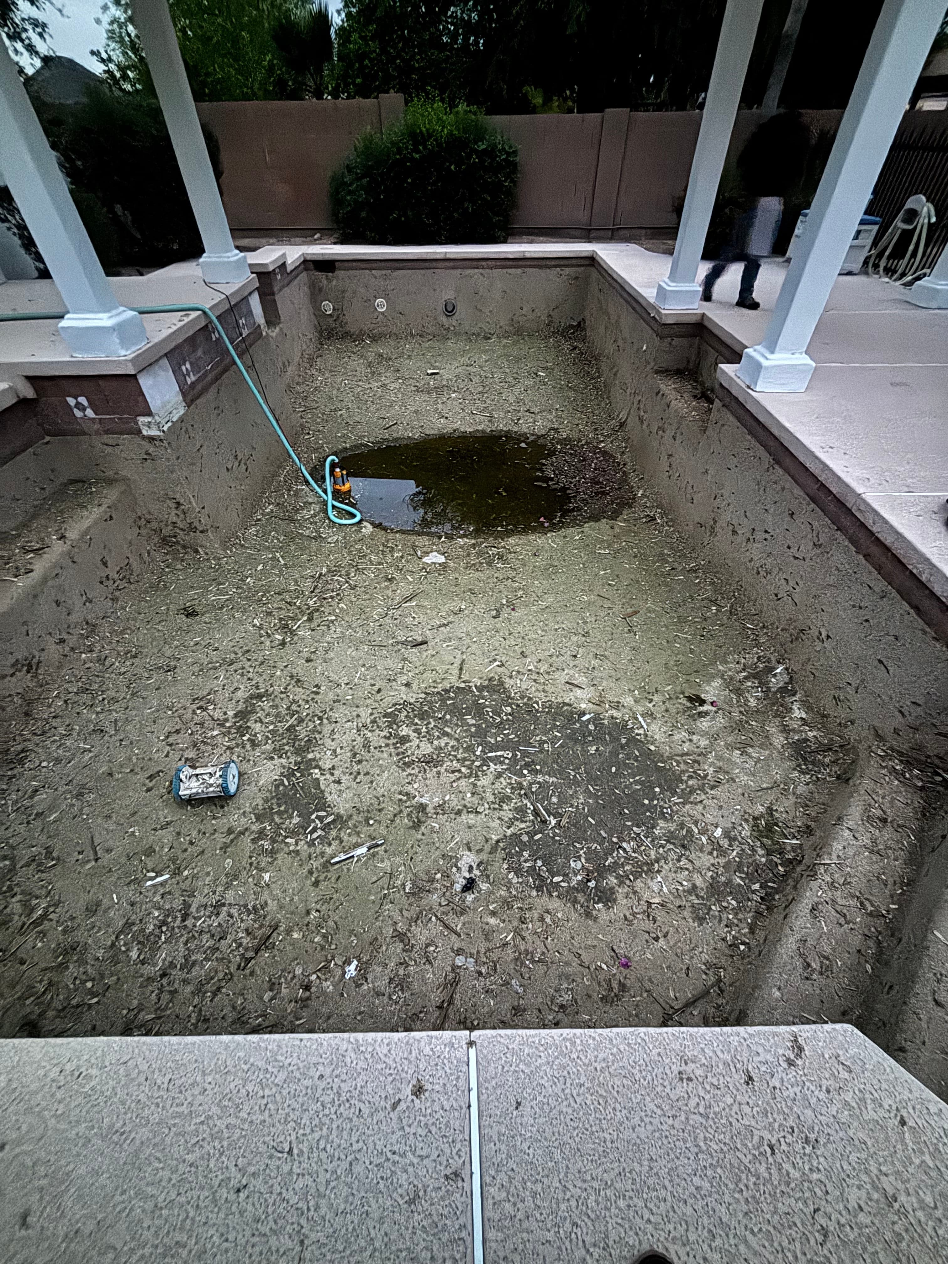 Project Full Muck Out and Chlorine Wash on a Chandler Pool image