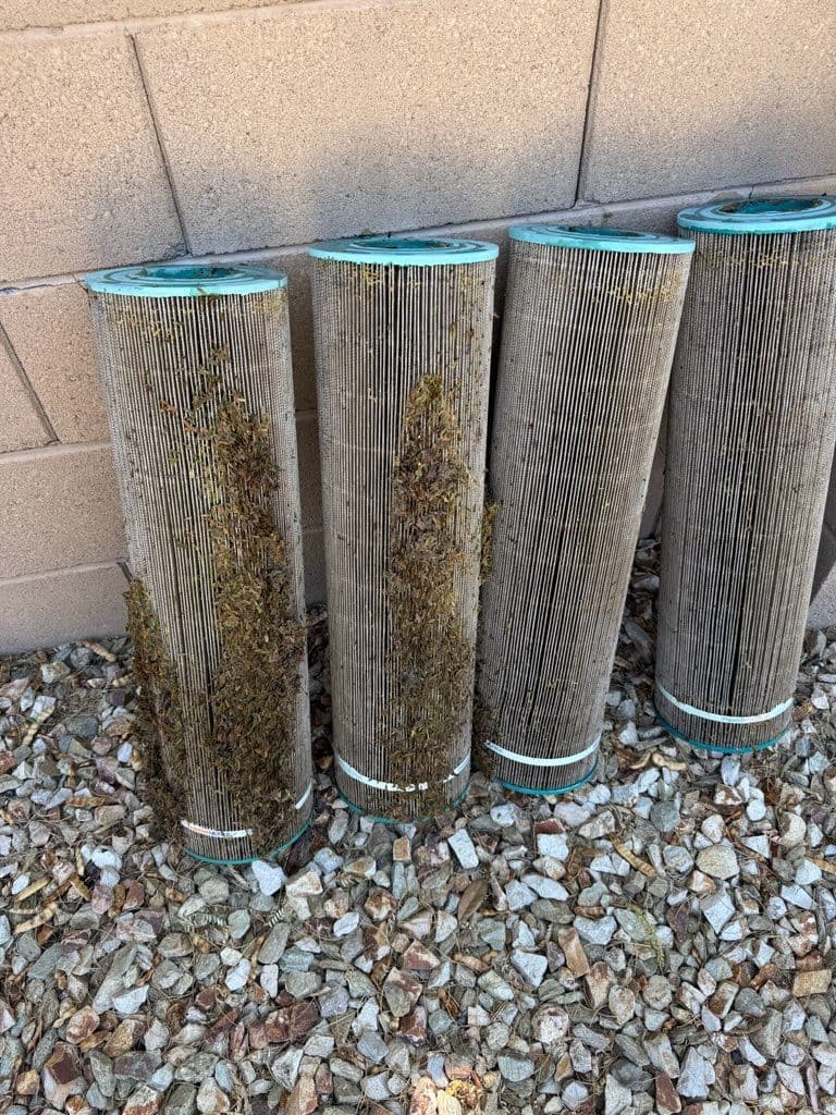 Gallery photos for Say Goodbye to Dirty Pool Filters: Image #1