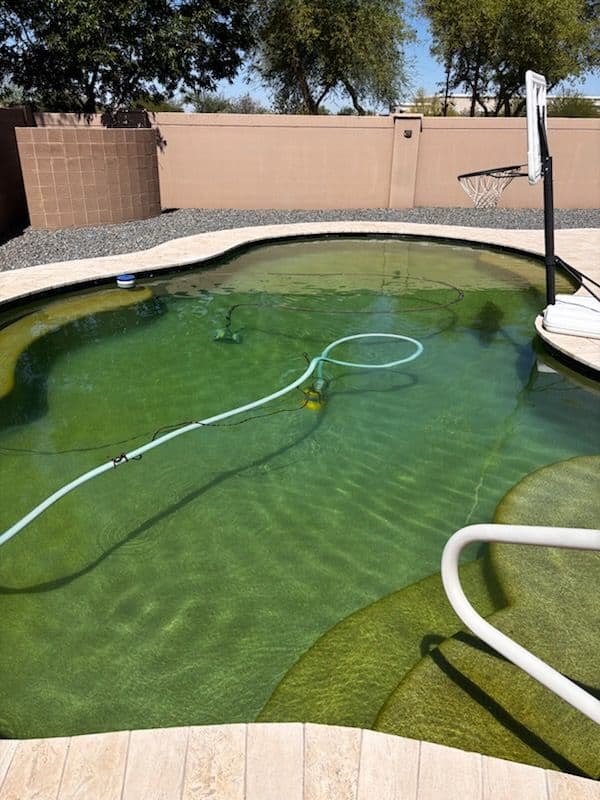 Gallery photos for Algae-Free Pool Transformation in Phoenix: Image #2