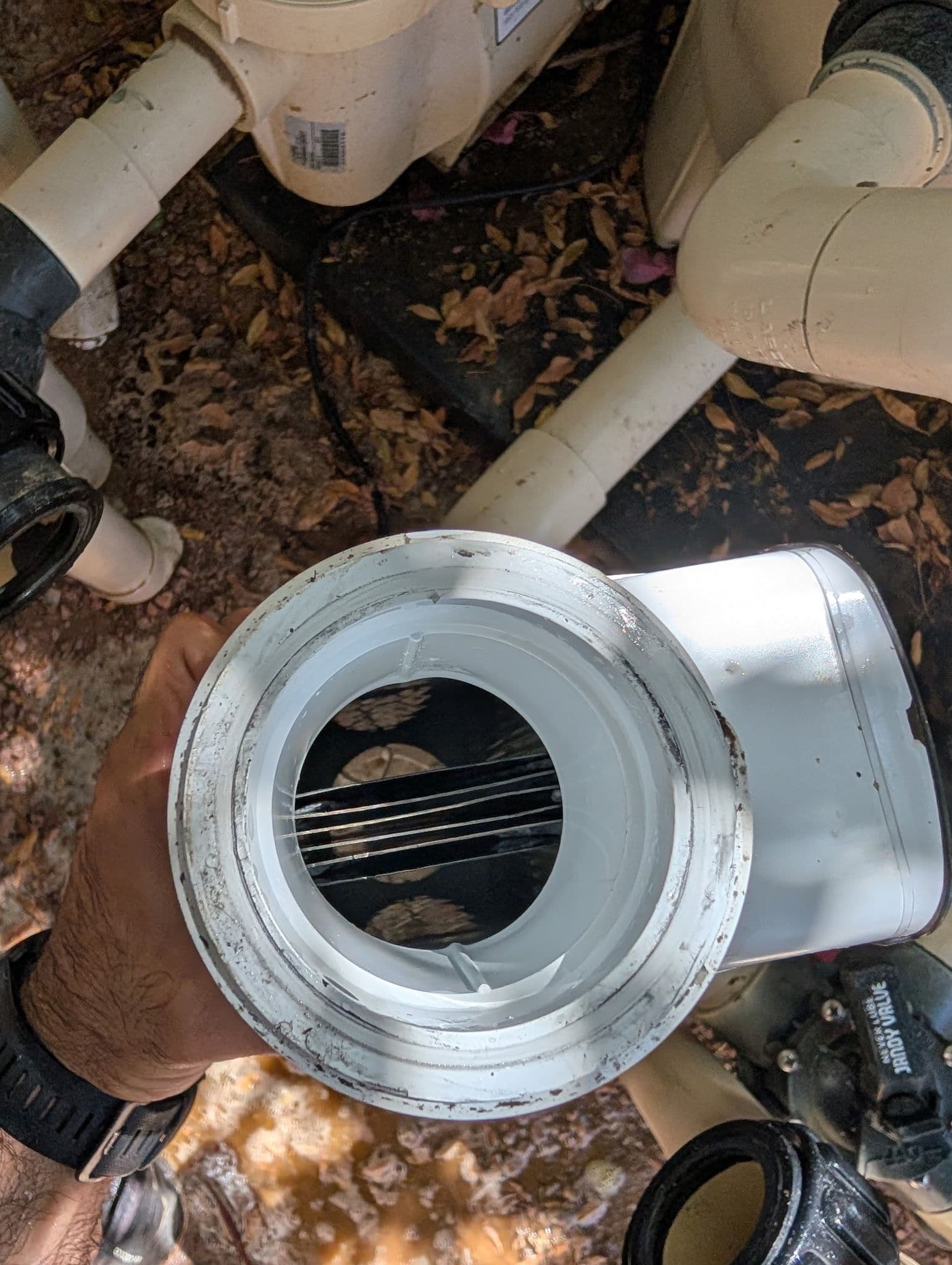 Keeping Your Pool Salt Cell Clean and Efficient image