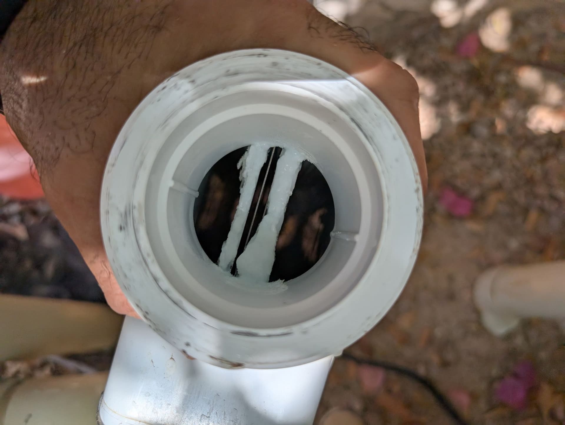 Gallery photos for Keeping Your Pool Salt Cell Clean and Efficient: Image #1
