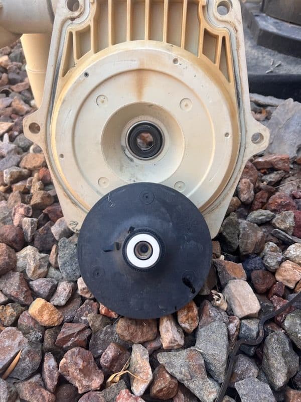 Gallery photos for Essential Pool Pump Care with Intelliflo Kit: Image #2