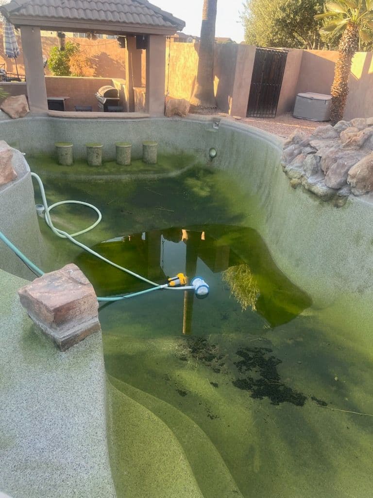 Gallery photos for Transforming a Gilbert Pool with Expert Care: Image #1