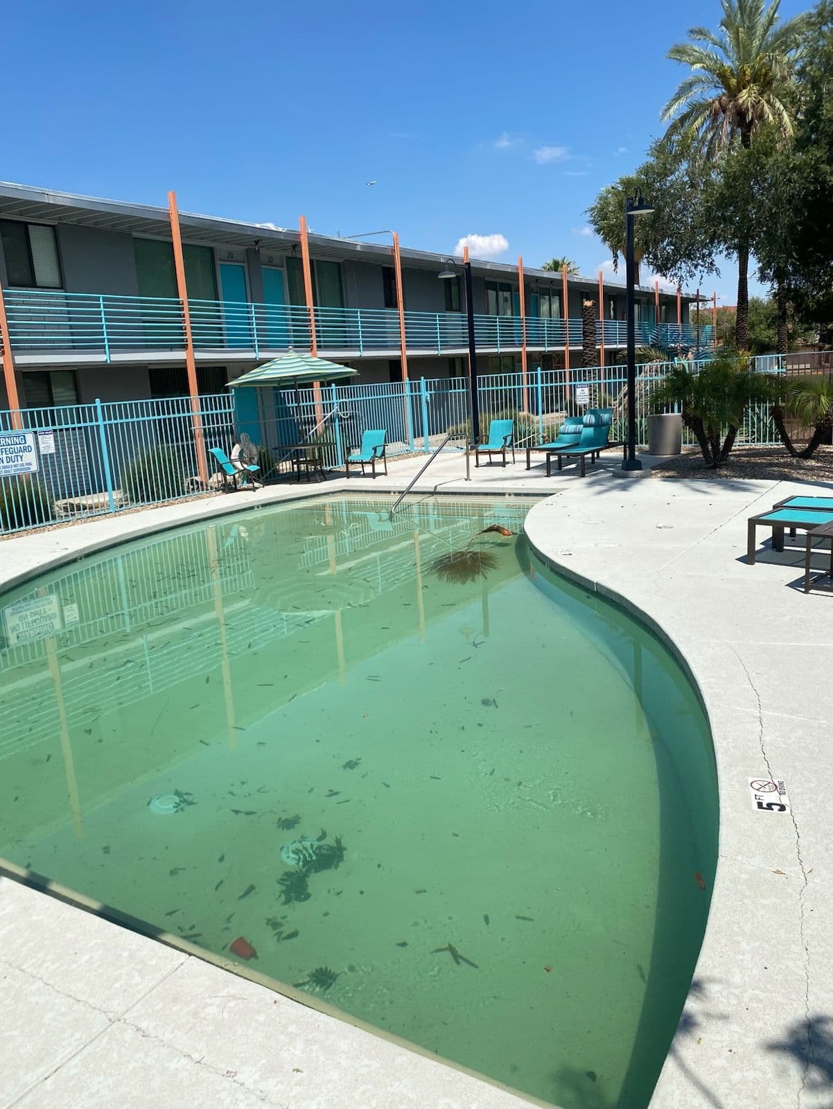Storm Cleanup Reveals Pool's Sparkling Potential